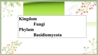 Kingdom
Fungi
Phylum
Basidiomycota
 