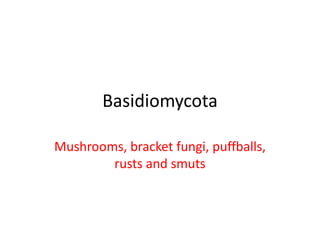 Basidiomycota
Mushrooms, bracket fungi, puffballs,
rusts and smuts
 