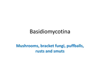 Basidiomycotina
Mushrooms, bracket fungi, puffballs,
rusts and smuts
 