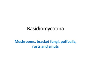 Basidiomycota Slide Labeled