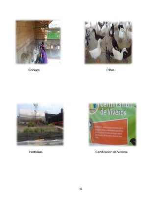 51
Conejos Patos
Hortalizas Certificación de Viveros
 