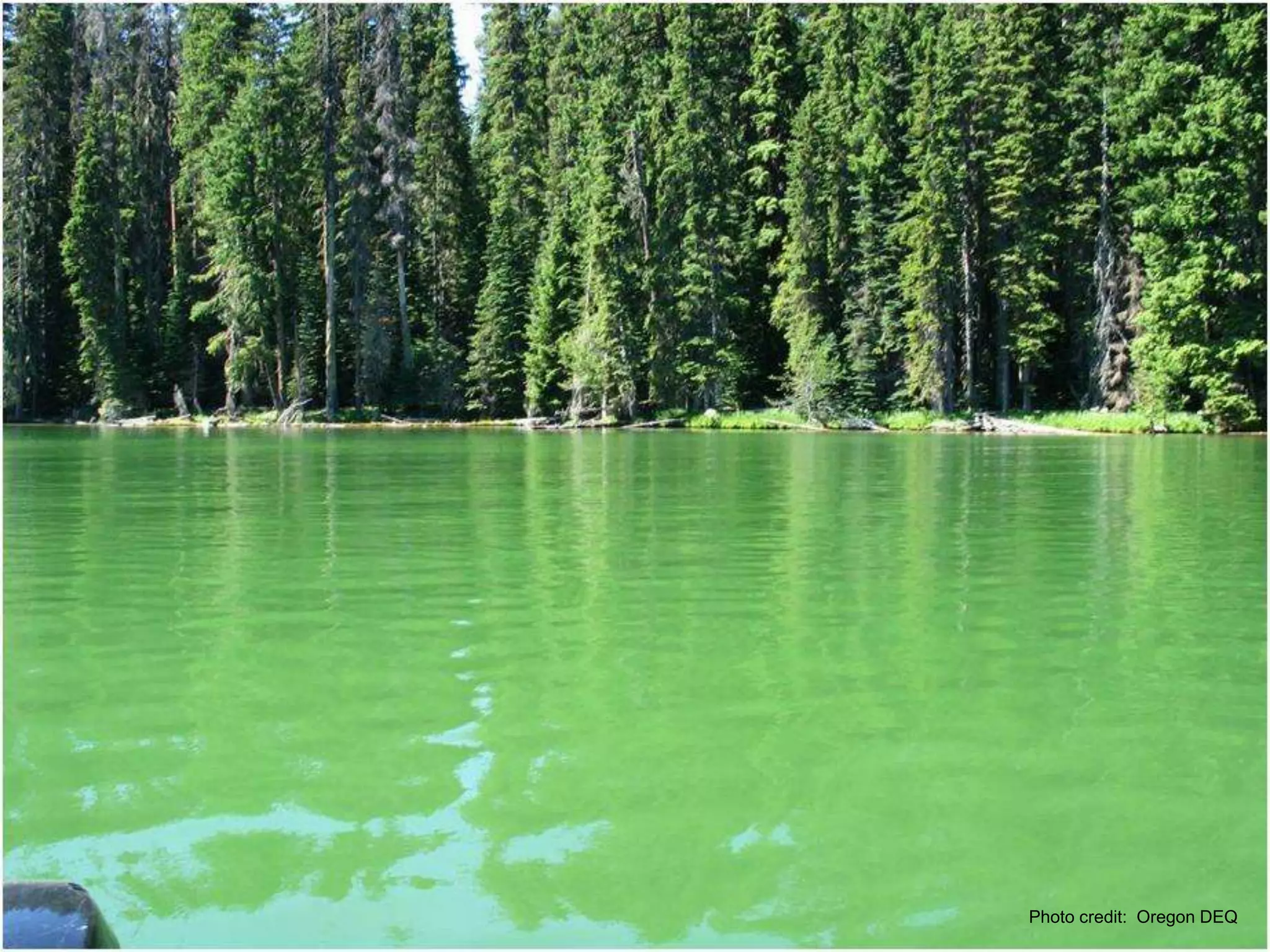 Photo credit: Oregon DEQ
 