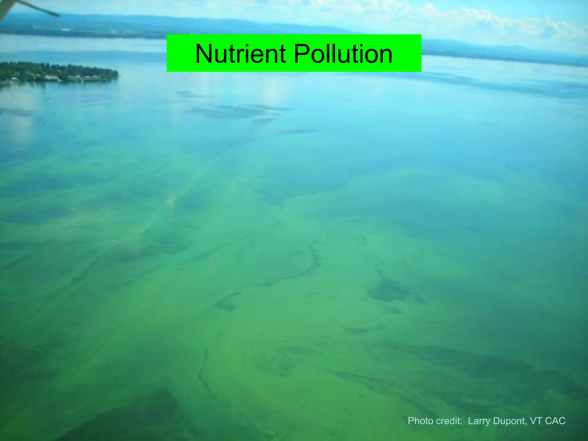 Nutrient Pollution




                     Photo credit: Larry Dupont, VT CAC
 