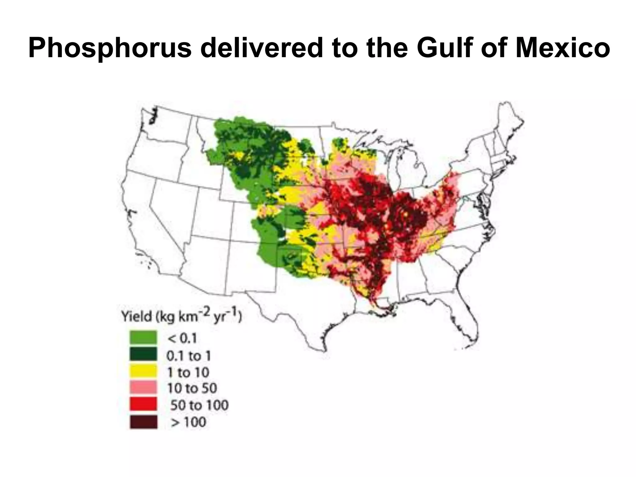 Phosphorus delivered to the Gulf of Mexico
 