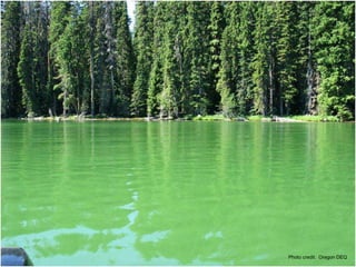 Photo credit: Oregon DEQ
 