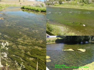 Photo credits:
M. Suplee, V. Watson, M. Teply, and H. McKee
 