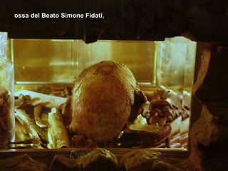 ossa del Beato Simone Fidati, 