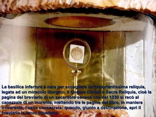 La basilica inferiore è nata per accogliere un'importantissima reliquia, legata ad un miracolo liturgico, il Corpus Christi o Sacra Reliquia, cioè la pagina del breviario di un sacerdote senese che nel 1330 si recò al capezzale di un morente, mettendo tra le pagine del libro, in maniera irriverente, l'ostia consacrata: quando, giunto a destinazione, aprì il breviario la trovò liquefatta. 