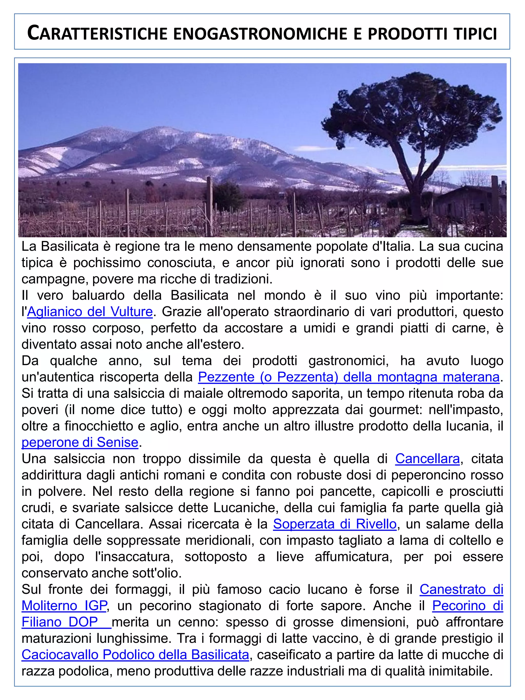 CARATTERISTICHE ENOGASTRONOMICHE E PRODOTTI TIPICI

La Basilicata è regione tra le meno densamente popolate d'Italia. La sua cucina
tipica è pochissimo conosciuta, e ancor più ignorati sono i prodotti delle sue
campagne, povere ma ricche di tradizioni.
Il vero baluardo della Basilicata nel mondo è il suo vino più importante:
l'Aglianico del Vulture. Grazie all'operato straordinario di vari produttori, questo
vino rosso corposo, perfetto da accostare a umidi e grandi piatti di carne, è
diventato assai noto anche all'estero.
Da qualche anno, sul tema dei prodotti gastronomici, ha avuto luogo
un'autentica riscoperta della Pezzente (o Pezzenta) della montagna materana.
Si tratta di una salsiccia di maiale oltremodo saporita, un tempo ritenuta roba da
poveri (il nome dice tutto) e oggi molto apprezzata dai gourmet: nell'impasto,
oltre a finocchietto e aglio, entra anche un altro illustre prodotto della lucania, il
peperone di Senise.
Una salsiccia non troppo dissimile da questa è quella di Cancellara, citata
addirittura dagli antichi romani e condita con robuste dosi di peperoncino rosso
in polvere. Nel resto della regione si fanno poi pancette, capicolli e prosciutti
crudi, e svariate salsicce dette Lucaniche, della cui famiglia fa parte quella già
citata di Cancellara. Assai ricercata è la Soperzata di Rivello, un salame della
famiglia delle soppressate meridionali, con impasto tagliato a lama di coltello e
poi, dopo l'insaccatura, sottoposto a lieve affumicatura, per poi essere
conservato anche sott'olio.
Sul fronte dei formaggi, il più famoso cacio lucano è forse il Canestrato di
Moliterno IGP, un pecorino stagionato di forte sapore. Anche il Pecorino di
Filiano DOP merita un cenno: spesso di grosse dimensioni, può affrontare
maturazioni lunghissime. Tra i formaggi di latte vaccino, è di grande prestigio il
Caciocavallo Podolico della Basilicata, caseificato a partire da latte di mucche di
razza podolica, meno produttiva delle razze industriali ma di qualità inimitabile.

 