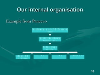 Our internal organisation Example from Pancevo 