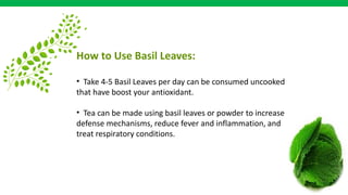 How to Use Basil Leaves:
• Take 4-5 Basil Leaves per day can be consumed uncooked
that have boost your antioxidant.
• Tea can be made using basil leaves or powder to increase
defense mechanisms, reduce fever and inflammation, and
treat respiratory conditions.
 