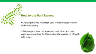 How to Use Basil Leaves:
• Chewing three to four fresh basil leaves reduces tension
and eases anxiety.
• To have good skin, rub a paste of basil, aloe, and rose
water onto your face for 20 minutes, then washes it off with
cold water.
 
