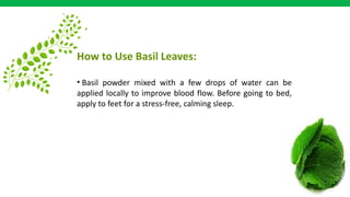 How to Use Basil Leaves:
• Basil powder mixed with a few drops of water can be
applied locally to improve blood flow. Before going to bed,
apply to feet for a stress-free, calming sleep.
 