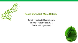 Reach Us To Get More Details
Email : herbcyte@gmail.com
Phone : +919962417611
Web: herbcyte.com
 