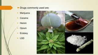  Drugs commonly used are:
 Marijuana
 Cocaine
 Heroin
 Opium
 Ecstasy
 LSD
 