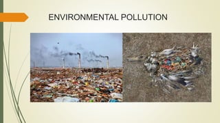 ENVIRONMENTAL POLLUTION
 