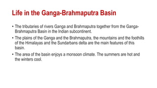 Life in the Ganga-Brahmaputra Basin
• The tributaries of rivers Ganga and Brahmaputra together from the Ganga-
Brahmaputra Basin in the Indian subcontinent.
• The plains of the Ganga and the Brahmaputra, the mountains and the foothills
of the Himalayas and the Sundarbans delta are the main features of this
basin.
• The area of the basin enjoys a monsoon climate. The summers are hot and
the winters cool.
 