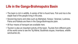 Life in the Ganga-Brahmaputra Basin
• The basin is rich in wildlife. A variety of fish is found here. Fish and rice is the
staple food of the people living in the area.
• Several big towns and cities such as Allahabad, Kanpur, Varanasi, Lucknow,
Patna and Kolkata are there in the Ganga-Brahmaputra plain.
• All four means of transport are available here.
• Tourism is also an important activity of the basin. Tourists from different parts
of the world come to see the Taj Mahal, Buddhists stupas, Imambara, wildlife
sanctuaries etc.
 