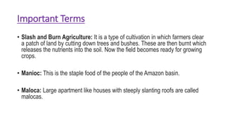 Important Terms
• Slash and Burn Agriculture: It is a type of cultivation in which farmers clear
a patch of land by cutting down trees and bushes. These are then burnt which
releases the nutrients into the soil. Now the field becomes ready for growing
crops.
• Manioc: This is the staple food of the people of the Amazon basin.
• Maloca: Large apartment like houses with steeply slanting roofs are called
malocas.
 