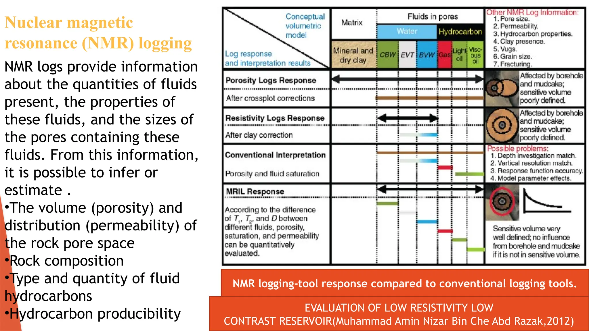 Basin Evaluation and application of various petrophysical logs and ...