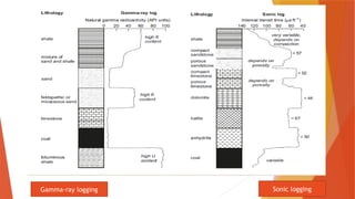 Basin Evaluation and application of various petrophysical logs and ...