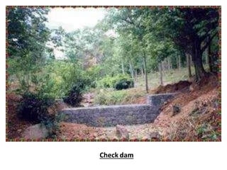 Check dam
 