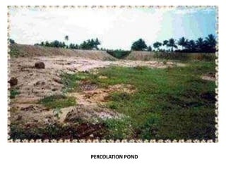 PERCOLATION POND
 