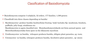 Basiodiomycetes characteristics, classification, reproduction and ecology.pptx