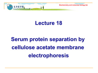 Biochemistry and molecular biology lab 
Lecture 18 
Serum protein separation by 
cellulose acetate membrane 
electrophoresis 
 