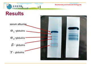 Biochemistry and molecular biology lab 
Results 
serum albumin 
α1 -globulins 
α2 -globulins 
β- globulins 
γ- globulins 
 