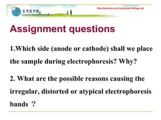 Biochemistry and molecular biology lab 
Assignment questions 
1.Which side (anode or cathode) shall we place 
the sample d...
