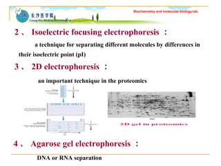 Biochemistry and molecular biology lab 
2、Isoelectric focusing electrophoresis： 
a technique for separating different mole...