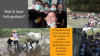 Wat	ik	daar	
heb	gedaan?
In	Yogyakarta	heb	
ik	hoe	te	boeren,	
het	museum,	de	
grotbuis	
verkennen	en	de	
geschiedenis	van	
de	tempel	
bestuderen	
geleerd.
 
