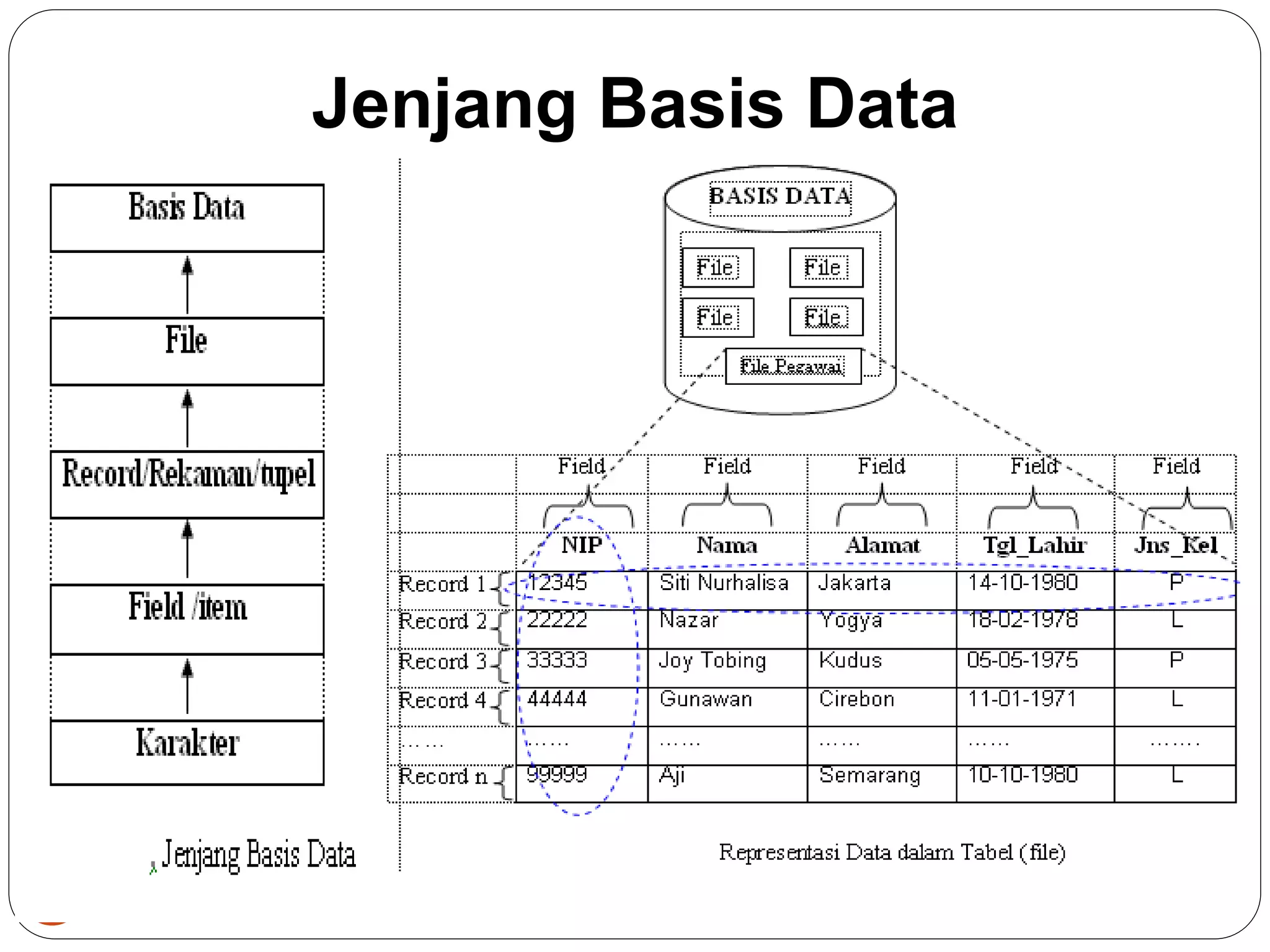 Jenjang Basis Data
6
 