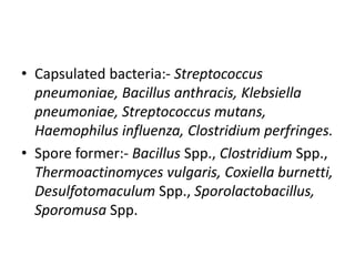 • Capsulated bacteria:- Streptococcus
pneumoniae, Bacillus anthracis, Klebsiella
pneumoniae, Streptococcus mutans,
Haemophilus influenza, Clostridium perfringes.
• Spore former:- Bacillus Spp., Clostridium Spp.,
Thermoactinomyces vulgaris, Coxiella burnetti,
Desulfotomaculum Spp., Sporolactobacillus,
Sporomusa Spp.
 