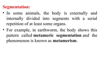 Basis of classification for the animal kingdom.pptx