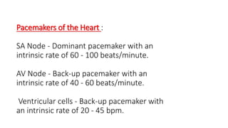 Pacemakers of the Heart :
SA Node - Dominant pacemaker with an
intrinsic rate of 60 - 100 beats/minute.
AV Node - Back-up pacemaker with an
intrinsic rate of 40 - 60 beats/minute.
Ventricular cells - Back-up pacemaker with
an intrinsic rate of 20 - 45 bpm.
 