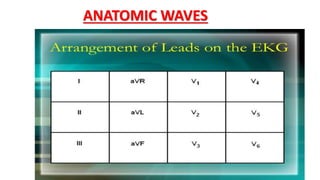 ANATOMIC WAVES
 