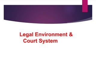 Legal Environment &
Court System
 