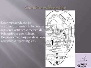 Door met aandacht de
acupressuurpunten in het oor te
masseren activeer je meteen de
belangrijkste gewrichten.
De gewrichten krijgen alvast een
zeer zachte ‘warming-up’.
 