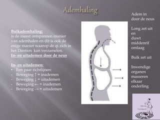 Adem in
door de neus
Long zet uit
en
duwt
middenrif
omlaag
Buik zet uit
Inwendige
organen
masseren
elkaar
onderling
Buikademhaling:
is de meest ontspannen manier
van ademhalen en dit is ook de
enige manier waarop de qi zich in
het Dantien kan verzamelen.
In- en uitademen door de neus
In- en uitademen:
• Een paar richtlijnen:
- Beweging ↑ = inademen
- Beweging ↓ = uitademen
- Beweging ← = inademen
- Beweging → = uitademen
 
