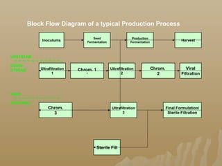 Basis Validation of Biomanufacturing Processes | PPT