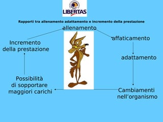 Rapporti tra allenamento adattamento e incremento della prestazione
allenamento
affaticamento
adattamento
Cambiamenti
nell’organismo
Possibilità
di sopportare
maggiori carichi
Incremento
della prestazione
 