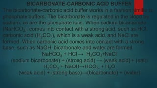 BICARBONATE-CARBONIC ACID BUFFER
The bicarbonate-carbonic acid buffer works in a fashion similar to
phosphate buffers. The bicarbonate is regulated in the blood by
sodium, as are the phosphate ions. When sodium bicarbonate
(NaHCO3), comes into contact with a strong acid, such as HCl,
carbonic acid (H2CO3), which is a weak acid, and NaCl are
formed. When carbonic acid comes into contact with a strong
base, such as NaOH, bicarbonate and water are formed.
NaHCO3 + HCl → H2CO3+NaCl
(sodium bicarbonate) + (strong acid) → (weak acid) + (salt)
H2CO3 + NaOH→HCO3- + H2O
(weak acid) + (strong base)→(bicarbonate) + (water)
 