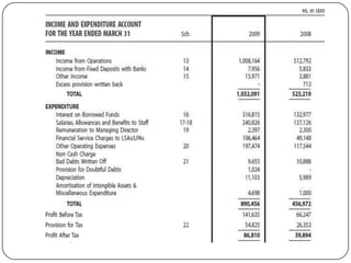 Basix: A Business Analysis | PPTX