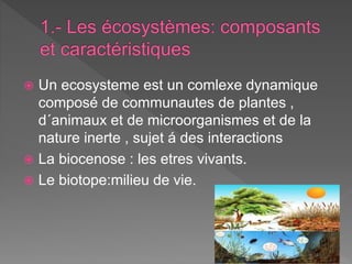  Un ecosysteme est un comlexe dynamique
composé de communautes de plantes ,
d´animaux et de microorganismes et de la
nature inerte , sujet á des interactions
 La biocenose : les etres vivants.
 Le biotope:milieu de vie.
 
