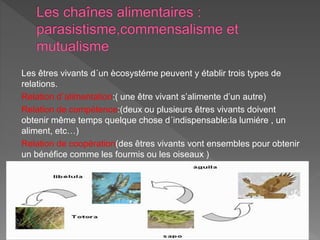 Les êtres vivants d´un ècosystéme peuvent y établir trois types de
relations.
Relation d`alimentation:( une être vivant s’alimente d’un autre)
Relation de compétence:(deux ou plusieurs êtres vivants doivent
obtenir même temps quelque chose d´indispensable:la lumiére , un
aliment, etc…)
Relation de coopération(des êtres vivants vont ensembles pour obtenir
un bénéfice comme les fourmis ou les oiseaux )
 
