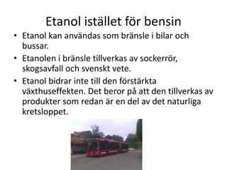 Etanol istället för bensin
• Etanol kan användas som bränsle i bilar och
bussar.
• Etanolen i bränsle tillverkas av sockerrör,
skogsavfall och svenskt vete.
• Etanol bidrar inte till den förstärkta
växthuseffekten. Det beror på att den tillverkas av
produkter som redan är en del av det naturliga
kretsloppet.
 