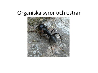 Organiska syror och estrar
 