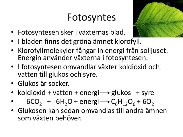 Vad är En Atom Enkel Förklaring
